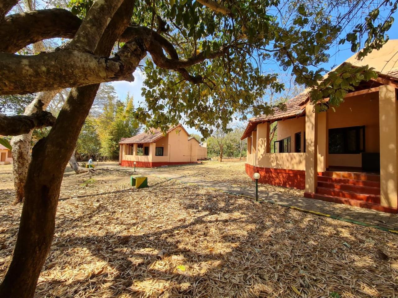 The Country Club Wildlife Resorts Bandipūr Dış mekan fotoğraf